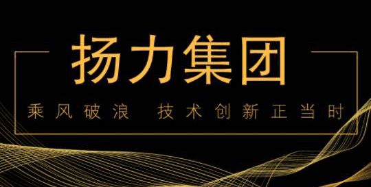 扬力集团